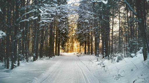 Langlaufkurs title image